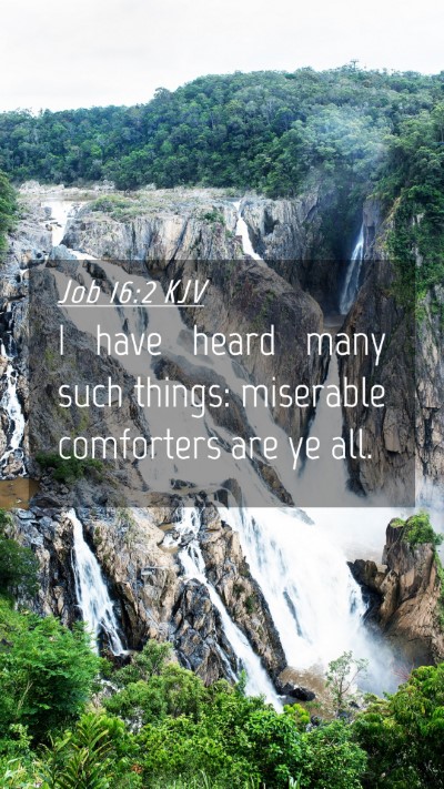 Picture 04 - Job 16:2 KJV Mobile Phone Wallpaper - I have heard many such things: miserable - Mobile Bible Verse Wallpaper