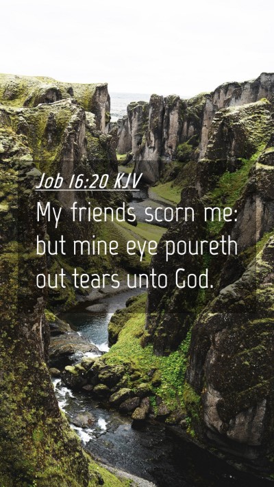 Picture 04 - Job 16:20 KJV Mobile Phone Wallpaper - My friends scorn me: but mine eye poureth out - Mobile Bible Verse Wallpaper