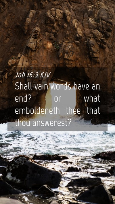 Picture 04 - Job 16:3 KJV Mobile Phone Wallpaper - Shall vain words have an end? or what emboldeneth - Mobile Bible Verse Wallpaper