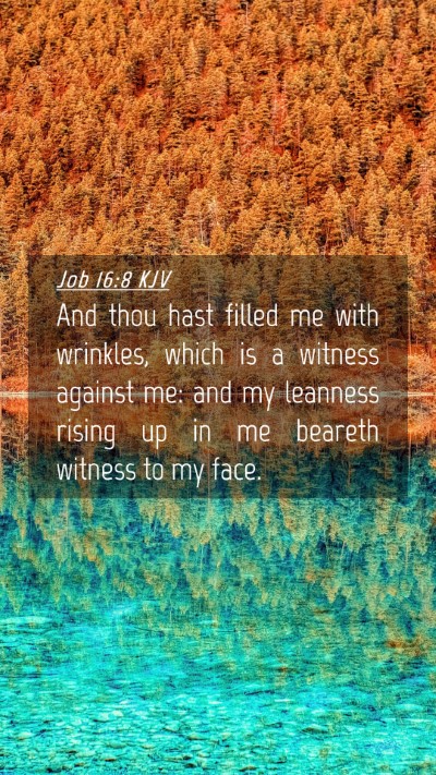 Picture 04 - Job 16:8 KJV Mobile Phone Wallpaper - And thou hast filled me with wrinkles, which is a - Mobile Bible Verse Wallpaper