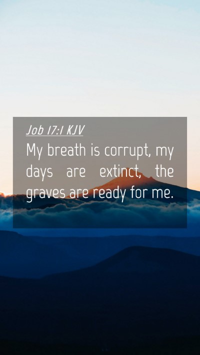 Picture 04 - Job 17:1 KJV Mobile Phone Wallpaper - My breath is corrupt, my days are extinct, the - Mobile Bible Verse Wallpaper