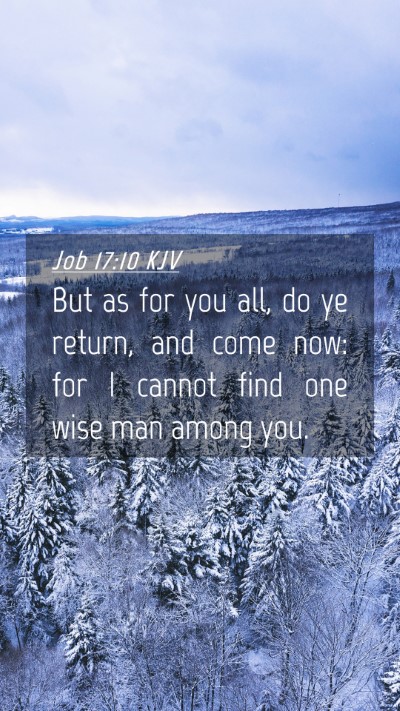 Picture 04 - Job 17:10 KJV Mobile Phone Wallpaper - But as for you all, do ye return, and come now: - Mobile Bible Verse Wallpaper