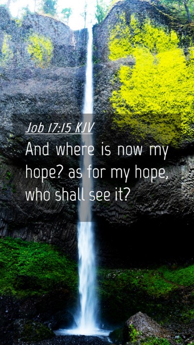 Picture 04 - Job 17:15 KJV Mobile Phone Wallpaper - And where is now my hope? as for my hope, who - Mobile Bible Verse Wallpaper