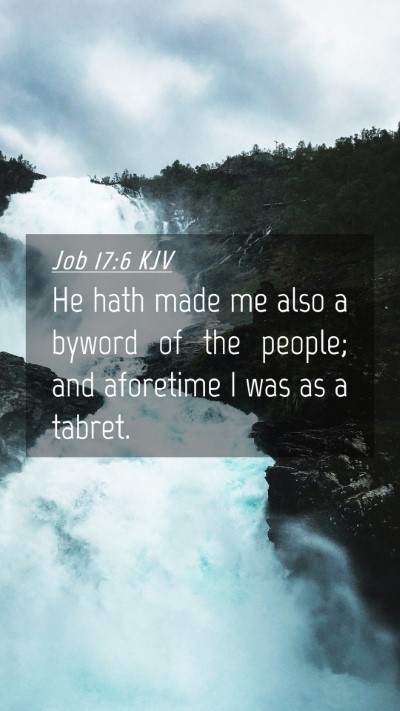 Picture 04 - Job 17:6 KJV Mobile Phone Wallpaper - He hath made me also a byword of the people; and - Mobile Bible Verse Wallpaper