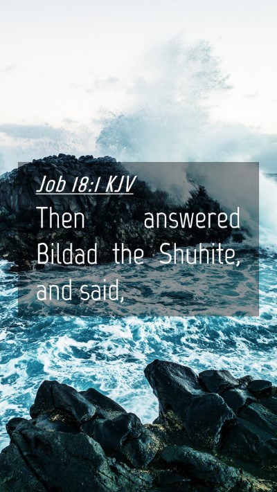 Picture 04 - Job 18:1 KJV Mobile Phone Wallpaper - Then answered Bildad the Shuhite, and - Mobile Bible Verse Wallpaper