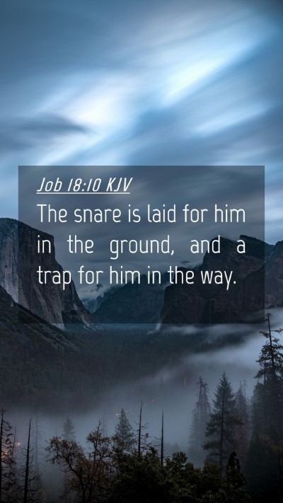 Picture 04 - Job 18:10 KJV Mobile Phone Wallpaper - The snare is laid for him in the ground, and a - Mobile Bible Verse Wallpaper