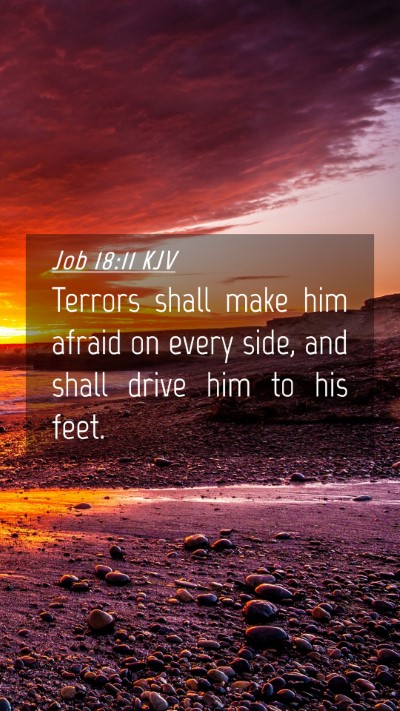 Picture 04 - Job 18:11 KJV Mobile Phone Wallpaper - Terrors shall make him afraid on every side, and - Mobile Bible Verse Wallpaper