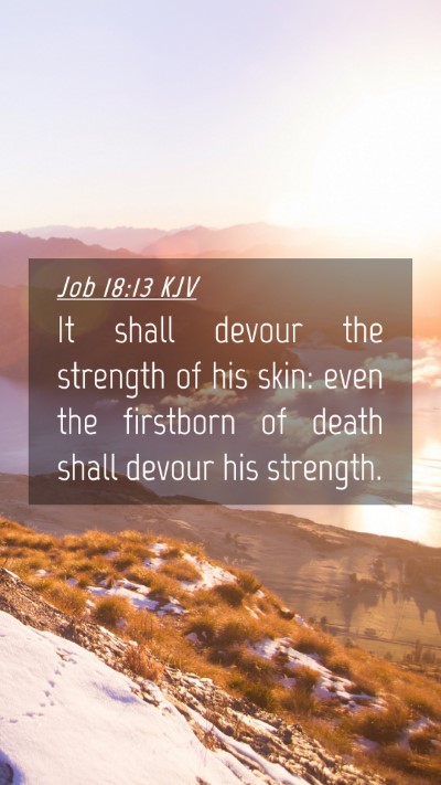 Picture 04 - Job 18:13 KJV Mobile Phone Wallpaper - It shall devour the strength of his skin: even - Mobile Bible Verse Wallpaper