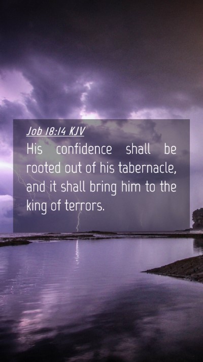 Picture 04 - Job 18:14 KJV Mobile Phone Wallpaper - His confidence shall be rooted out of his - Mobile Bible Verse Wallpaper
