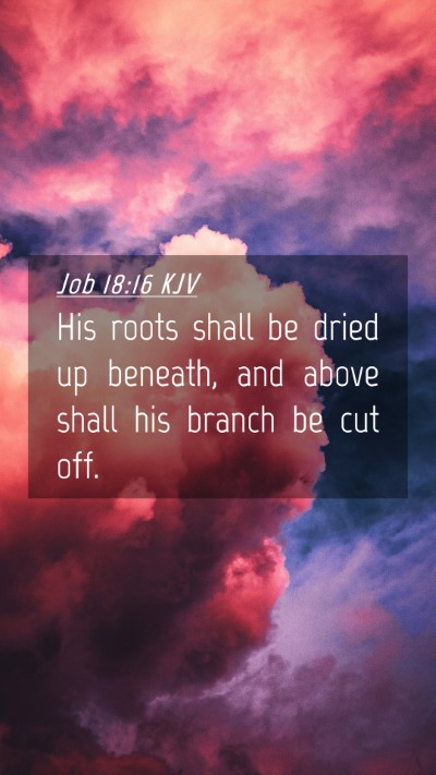 Picture 04 - Job 18:16 KJV Mobile Phone Wallpaper - His roots shall be dried up beneath, and above - Mobile Bible Verse Wallpaper