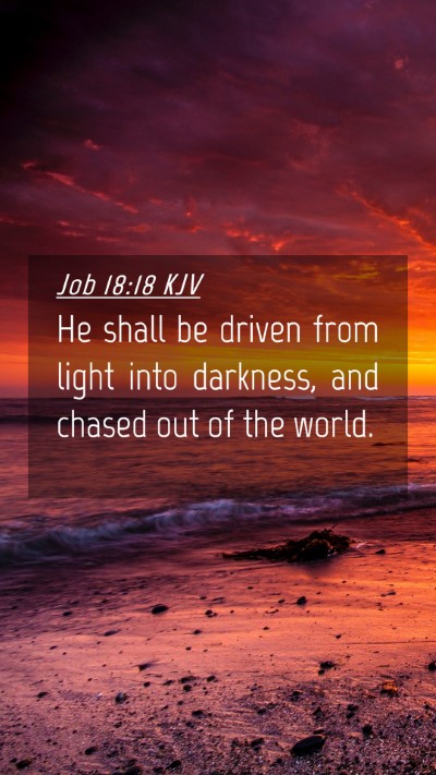 Picture 04 - Job 18:18 KJV Mobile Phone Wallpaper - He shall be driven from light into darkness, and - Mobile Bible Verse Wallpaper