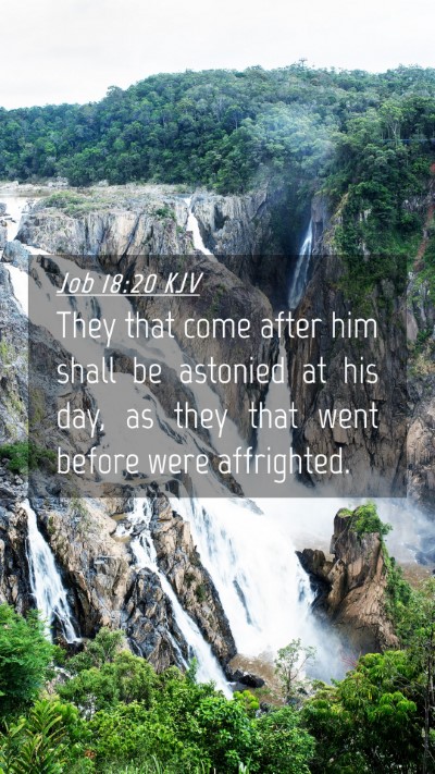 Picture 04 - Job 18:20 KJV Mobile Phone Wallpaper - They that come after him shall be astonied at his - Mobile Bible Verse Wallpaper