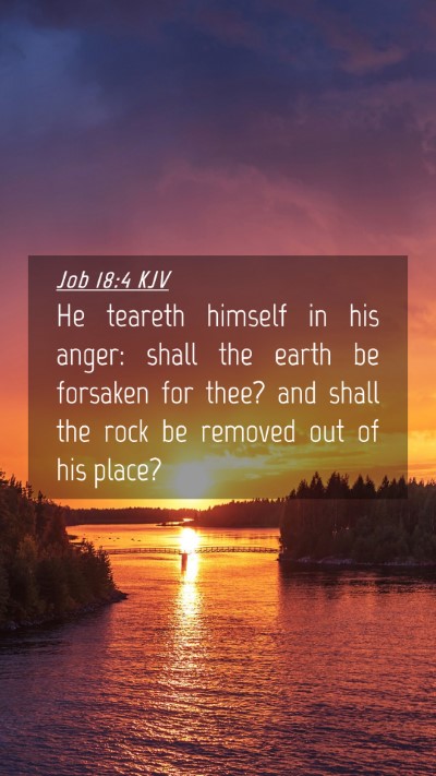 Picture 04 - Job 18:4 KJV Mobile Phone Wallpaper - He teareth himself in his anger: shall the earth - Mobile Bible Verse Wallpaper