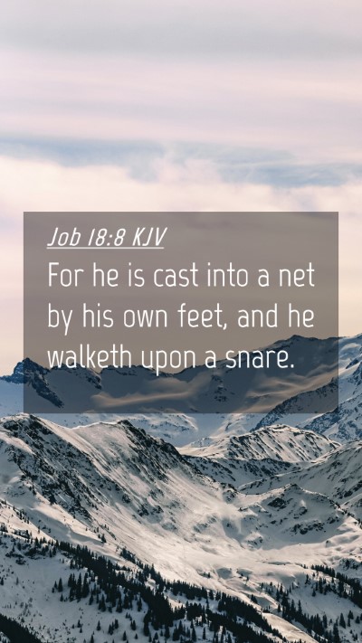 Picture 04 - Job 18:8 KJV Mobile Phone Wallpaper - For he is cast into a net by his own feet, and he - Mobile Bible Verse Wallpaper
