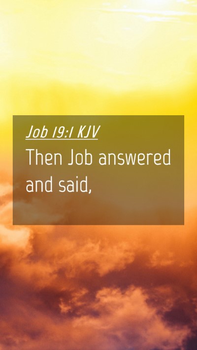 Picture 04 - Job 19:1 KJV Mobile Phone Wallpaper - Then Job answered and - Mobile Bible Verse Wallpaper