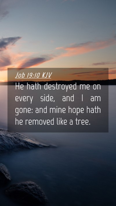 Picture 04 - Job 19:10 KJV Mobile Phone Wallpaper - He hath destroyed me on every side, and I am - Mobile Bible Verse Wallpaper