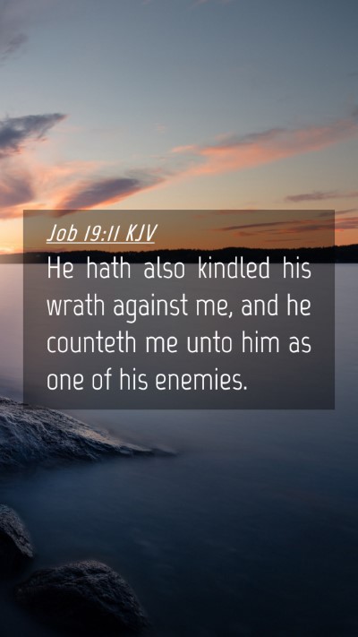 Picture 04 - Job 19:11 KJV Mobile Phone Wallpaper - He hath also kindled his wrath against me, and he - Mobile Bible Verse Wallpaper