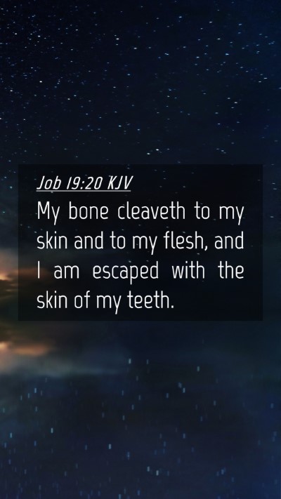 Picture 04 - Job 19:20 KJV Mobile Phone Wallpaper - My bone cleaveth to my skin and to my flesh, and - Mobile Bible Verse Wallpaper