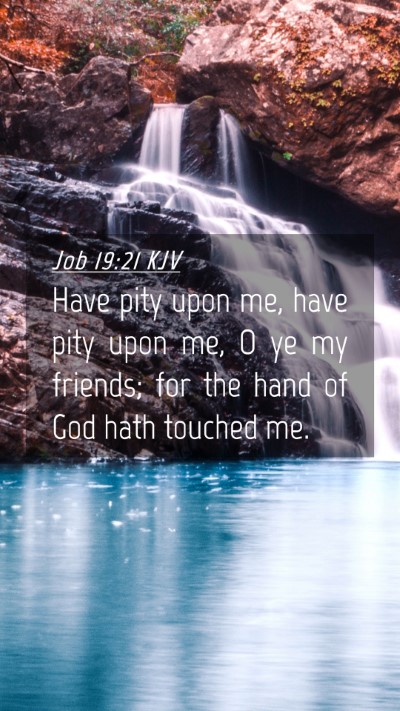 Picture 04 - Job 19:21 KJV Mobile Phone Wallpaper - Have pity upon me, have pity upon me, O ye my - Mobile Bible Verse Wallpaper