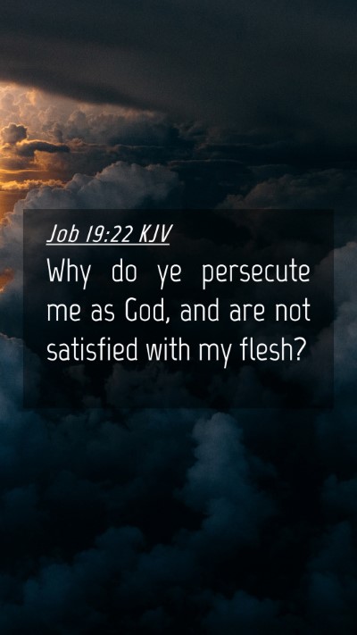 Picture 04 - Job 19:22 KJV Mobile Phone Wallpaper - Why do ye persecute me as God, and are not - Mobile Bible Verse Wallpaper