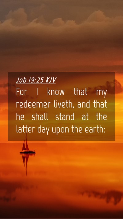 Picture 04 - Job 19:25 KJV Mobile Phone Wallpaper - For I know that my redeemer liveth, and that he - Mobile Bible Verse Wallpaper
