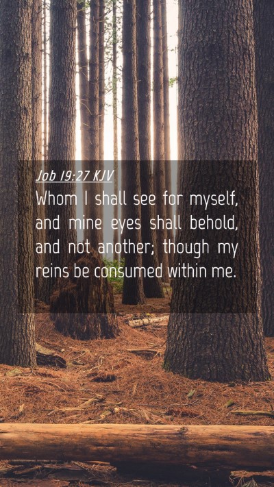 Picture 04 - Job 19:27 KJV Mobile Phone Wallpaper - Whom I shall see for myself, and mine eyes shall - Mobile Bible Verse Wallpaper
