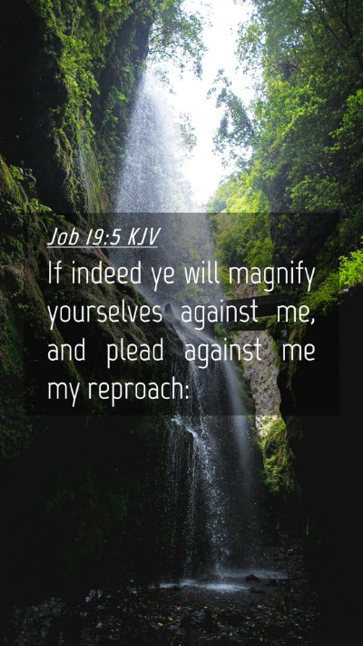 Picture 04 - Job 19:5 KJV Mobile Phone Wallpaper - If indeed ye will magnify yourselves against me, - Mobile Bible Verse Wallpaper