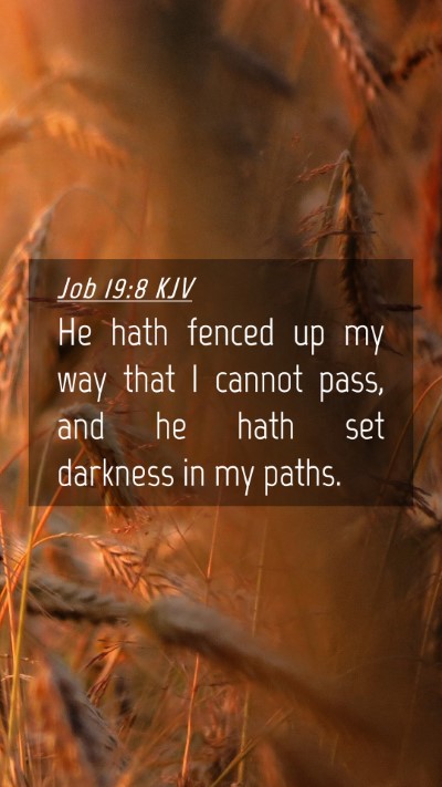 Picture 04 - Job 19:8 KJV Mobile Phone Wallpaper - He hath fenced up my way that I cannot pass, and - Mobile Bible Verse Wallpaper