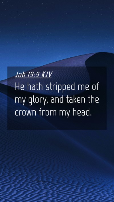 Picture 04 - Job 19:9 KJV Mobile Phone Wallpaper - He hath stripped me of my glory, and taken the - Mobile Bible Verse Wallpaper