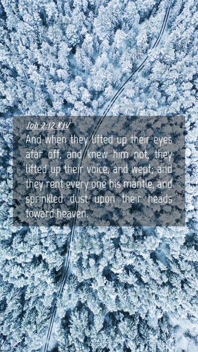 Picture 04 - Job 2:12 KJV Mobile Phone Wallpaper - And when they lifted up their eyes afar off, and - Mobile Bible Verse Wallpaper