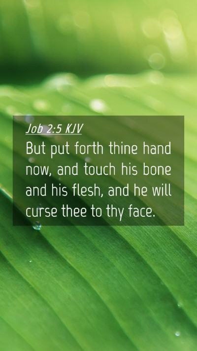 Picture 04 - Job 2:5 KJV Mobile Phone Wallpaper - But put forth thine hand now, and touch his bone - Mobile Bible Verse Wallpaper