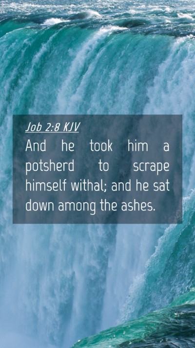 Picture 04 - Job 2:8 KJV Mobile Phone Wallpaper - And he took him a potsherd to scrape himself - Mobile Bible Verse Wallpaper