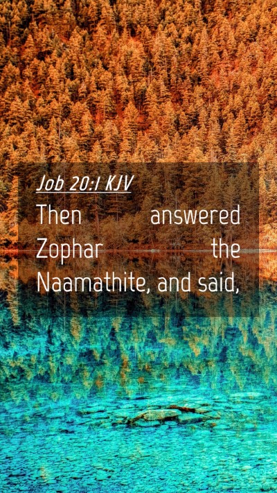 Picture 04 - Job 20:1 KJV Mobile Phone Wallpaper - Then answered Zophar the Naamathite, and - Mobile Bible Verse Wallpaper