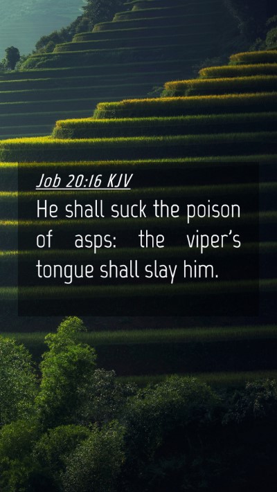 Picture 04 - Job 20:16 KJV Mobile Phone Wallpaper - He shall suck the poison of asps: the viper's - Mobile Bible Verse Wallpaper