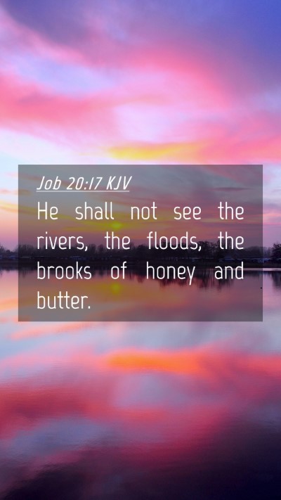 Picture 04 - Job 20:17 KJV Mobile Phone Wallpaper - He shall not see the rivers, the floods, the - Mobile Bible Verse Wallpaper