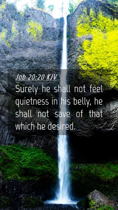 Picture 04 - Job 20:20 KJV Mobile Phone Wallpaper - Surely he shall not feel quietness in his belly, - Mobile Bible Verse Wallpaper