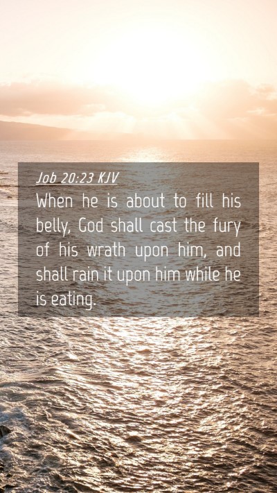 Picture 04 - Job 20:23 KJV Mobile Phone Wallpaper - When he is about to fill his belly, God shall - Mobile Bible Verse Wallpaper