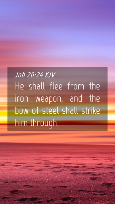 Picture 04 - Job 20:24 KJV Mobile Phone Wallpaper - He shall flee from the iron weapon, and the bow - Mobile Bible Verse Wallpaper