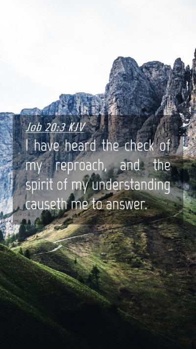 Picture 04 - Job 20:3 KJV Mobile Phone Wallpaper - I have heard the check of my reproach, and the - Mobile Bible Verse Wallpaper