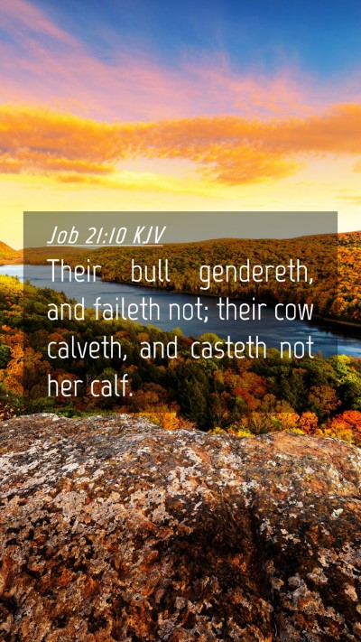 Picture 04 - Job 21:10 KJV Mobile Phone Wallpaper - Their bull gendereth, and faileth not; their cow - Mobile Bible Verse Wallpaper