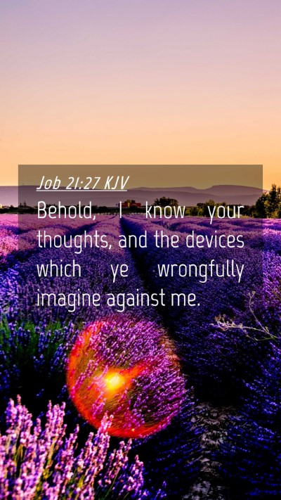 Picture 04 - Job 21:27 KJV Mobile Phone Wallpaper - Behold, I know your thoughts, and the devices - Mobile Bible Verse Wallpaper