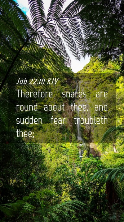 Picture 04 - Job 22:10 KJV Mobile Phone Wallpaper - Therefore snares are round about thee, and sudden - Mobile Bible Verse Wallpaper