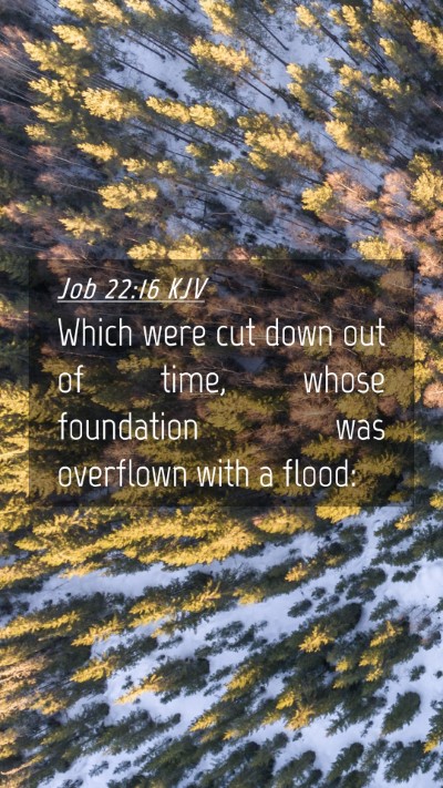 Picture 04 - Job 22:16 KJV Mobile Phone Wallpaper - Which were cut down out of time, whose foundation - Mobile Bible Verse Wallpaper