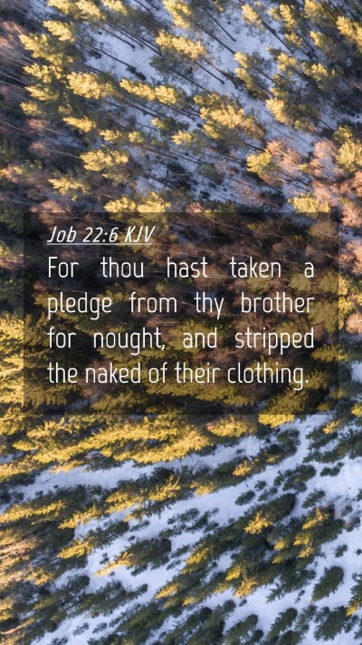 Picture 04 - Job 22:6 KJV Mobile Phone Wallpaper - For thou hast taken a pledge from thy brother for - Mobile Bible Verse Wallpaper