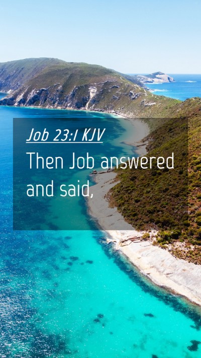 Picture 04 - Job 23:1 KJV Mobile Phone Wallpaper - Then Job answered and - Mobile Bible Verse Wallpaper