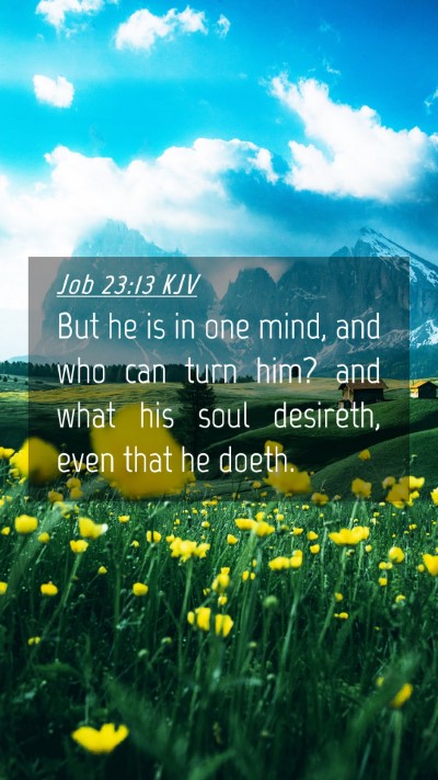Picture 04 - Job 23:13 KJV Mobile Phone Wallpaper - But he is in one mind, and who can turn him? and - Mobile Bible Verse Wallpaper