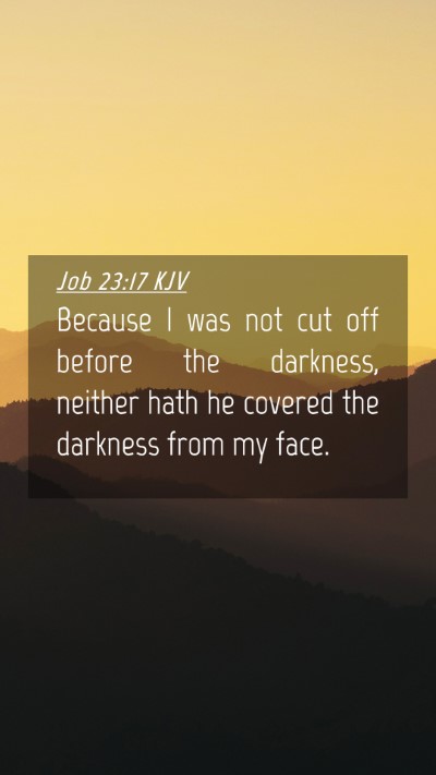 Picture 04 - Job 23:17 KJV Mobile Phone Wallpaper - Because I was not cut off before the darkness, - Mobile Bible Verse Wallpaper