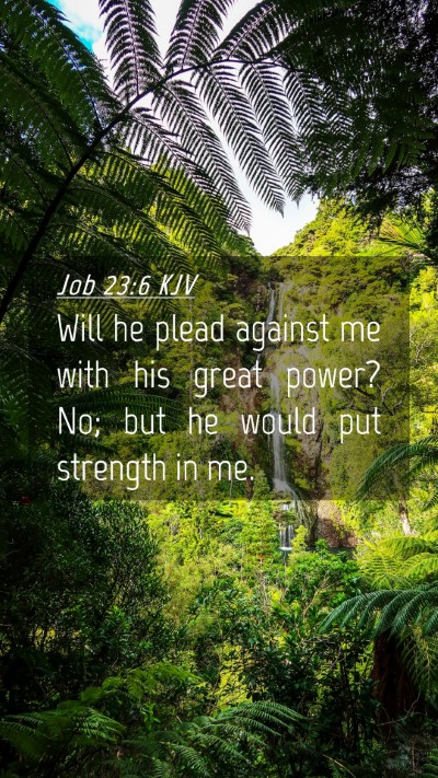 Picture 04 - Job 23:6 KJV Mobile Phone Wallpaper - Will he plead against me with his great power? - Mobile Bible Verse Wallpaper