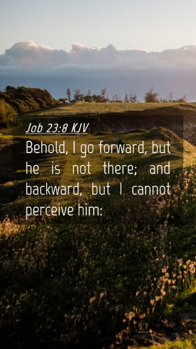 Picture 04 - Job 23:8 KJV Mobile Phone Wallpaper - Behold, I go forward, but he is not there; and - Mobile Bible Verse Wallpaper