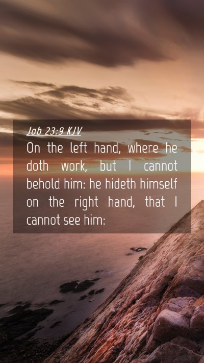 Picture 04 - Job 23:9 KJV Mobile Phone Wallpaper - On the left hand, where he doth work, but I - Mobile Bible Verse Wallpaper